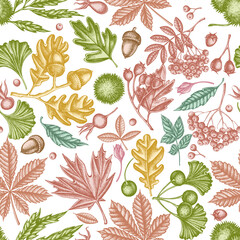Seamless pattern with hand drawn pastel fern, dog rose, rowan, ginkgo, maple, oak, horse chestnut, chestnut, hawthorn
