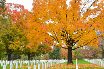 Washington DC - Arlington National Cemetery in Autumn
