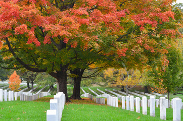 Washington DC - Arlington National Cemetery in Autumn
