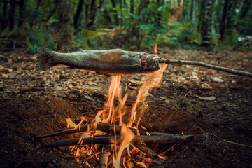Trout cooked over a wood fire in the forest