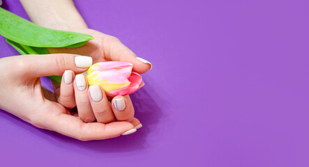 Female manicure on a bright background. Purple