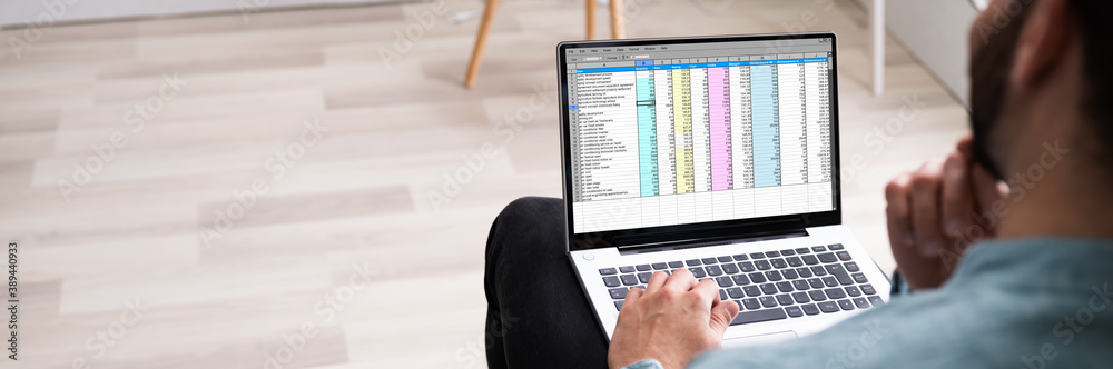 Poster analyst employee using spreadsheet