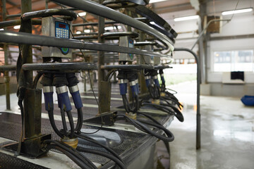 Side view background image of industrial cow milking machine at modern dairy farm, copy space