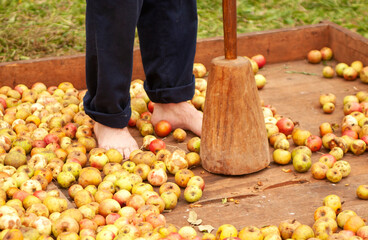 Old apple press for cider