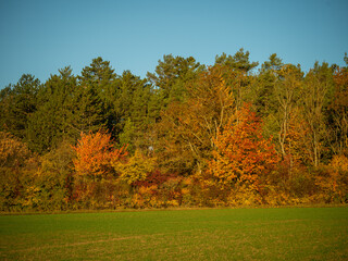 Landschaft im Herbst