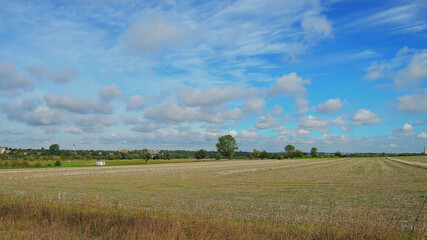 Obraz premium Fröhling in Hannover Kronsberg