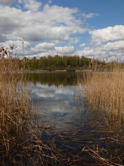 Lake view with dried reeds and trees under cloudy sky, Jasień Lake, Gdańsk, Poland