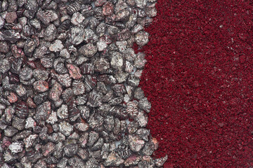 Dried and Crushed Cochineal Insects