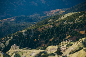Fototapeta premium A canyon with a mountain in the background