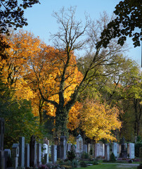 Obraz premium Ostfriedhof