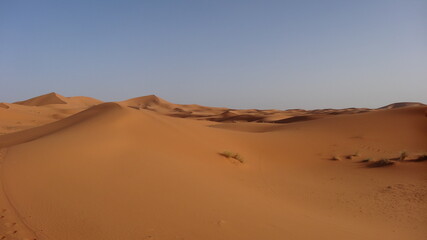 Fototapeta na wymiar Dunas del desierto del Sahara en Marruecos