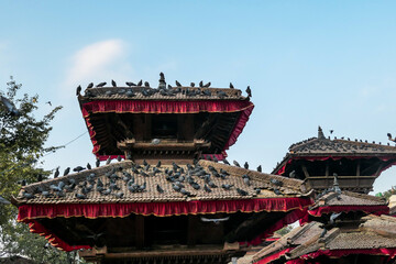 The rooftops of Durbar Square in Kathmandu, Nepal. There are plenty of pigeons flying around, and sitting on the rooftops. Each rooftop is ornated with red and golden ribbon. UNESCO heritage list.