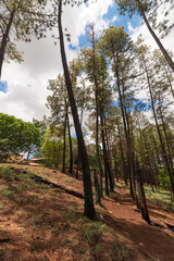 Small famous park of Ribeirao Preto called Pico da Unaerp.