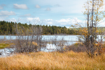 Autumn view of the lake and trees