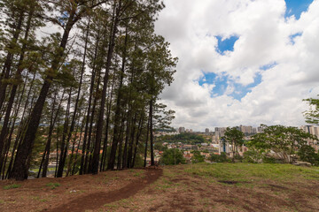 Small famous park of Ribeirao Preto called Pico da Unaerp.