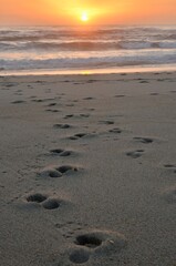 Huellas en la arena de la playa al atardecer, puesta de sol en el océano Atlántico al atardecer en Portugal