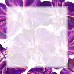 colourful blooming purple orchid frame for wedding card