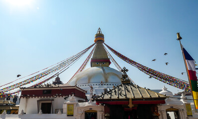 Obraz premium The Bouddhanath Temple in Kathmandu, Nepal. The temple has many colourful prayer flags with 'om mani padme hum' mantra attached to it's golden rooftop. A flock of pigeons sitting at the rooftop