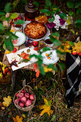 Apple buns with caramel on a wooden table in an autumn garden