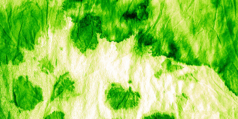 Mint Verdant Line Art Image. Tye Die. Simple
