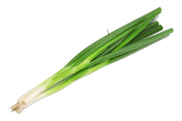 Fresh green onion isolated on a white background. Top view