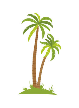 Tropical palm on island with sea waves illustration isolated white background. Beach under palm tree. Summer vacation in tropics. Cartoon illustration