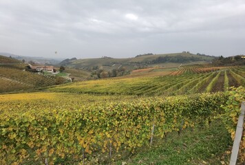 Fototapeta na wymiar the vineyards of the Langhe during the beautiful colors of autumn near Alba
