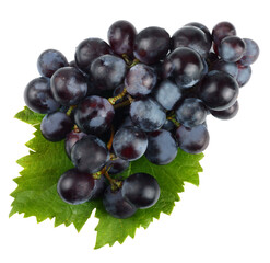 Black grapes isolated on white