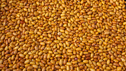 Orange beans. Lots of colorful dry beans, top view. Background. Protein food. Organic agricultural products.