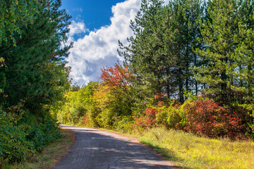 Autumn landscapes near Veliko Tarnovo, Bulgaria