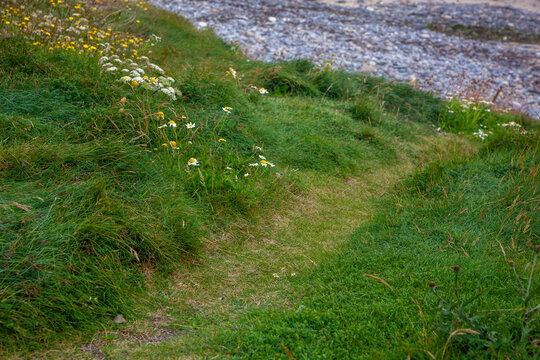 A path to a rockey beach