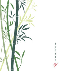 Vector bamboo background with dark and light green bamboo stems and leaves. Isolated on white, place for text, copyspace. Oriental art, Sumi-e stylization - 389455196