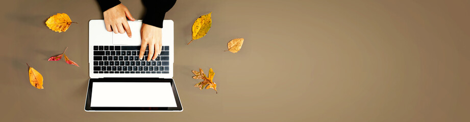 Autumn leaves with person using a laptop computer from above