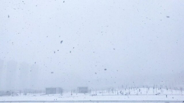 Blizzard in the city. Houses and a street with crosswalks are barely visible through the snow storm
