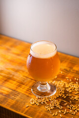 Closeup of beer and Malted Barley Wheat Grain