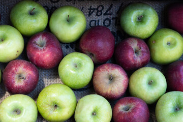 Green and red apples motif