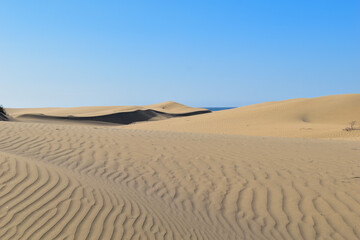 Fototapeta na wymiar Large sand dunes in the desert.
