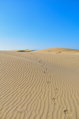 Fototapeta na wymiar Footprints in the desert sand dunes.