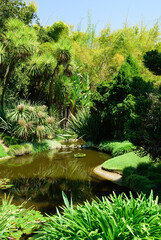 Beautiful garden. Los Angeles. USA