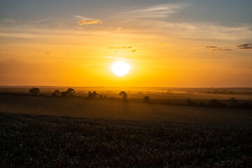 sunset over the field