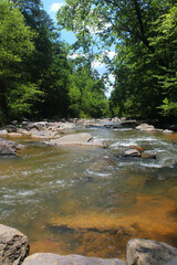 A creek and its thousand different faces.