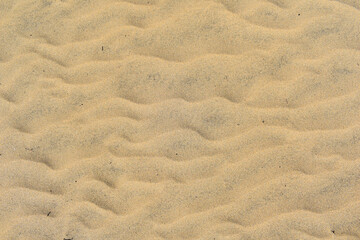 Textured orange desert sand background.
