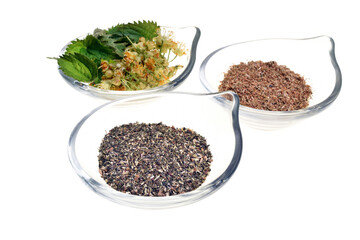  Fresh healthy and dried linden and nettle plant isolated on a white background good for coronavirus