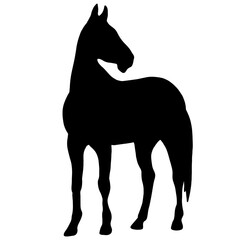 Icon of horse. Black illustration of  farm animal