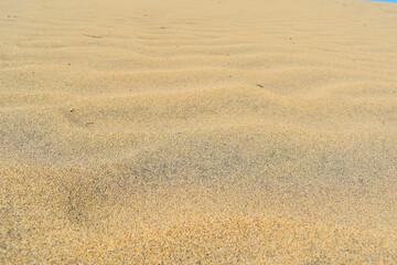 Textured orange desert sand background.