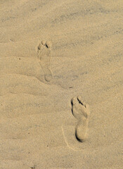 Fototapeta na wymiar Footprints in the arid desert sand.