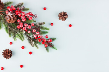Christmas tree branch with cones and berries on a blue background, top view, Christmas background © Анастасия Коровина