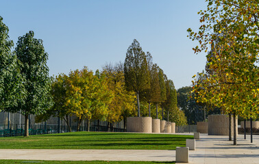 Landscape with green grass, ornamental and evergreen trees. Public landscape сity park 'Krasnodar' or 'Galitsky park' for relaxation and walking.