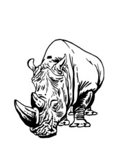 Vector ink-pen illustration of rhino isolated on white background