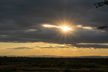 Road with dark reeds in autumn